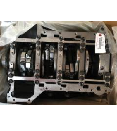 1140051020 SHORT ENGINE